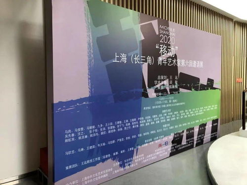 上海中外文化藝術(shù)交流協(xié)會(huì)2021年第一次工作會(huì)議 推動(dòng)文化藝術(shù)交流新篇章